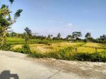 thumbnail-dijual-tanah-sawah-murah-meriah-di-belakng-polres-sleman-2