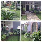 thumbnail-dijual-rumah-cantik-hitung-tanah-saja-di-mampang-prapatan-2