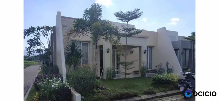 District M Tipe Missisauga