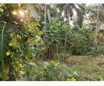 tanah 1000 meter dekat bukit sakura kemiling