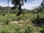 thumbnail-jual-tanah-kosong-di-desa-bengkurung-jalan-sembahe-namorambe-0