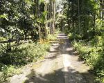 thumbnail-jual-tanah-kosong-di-desa-bengkurung-jalan-sembahe-namorambe-5