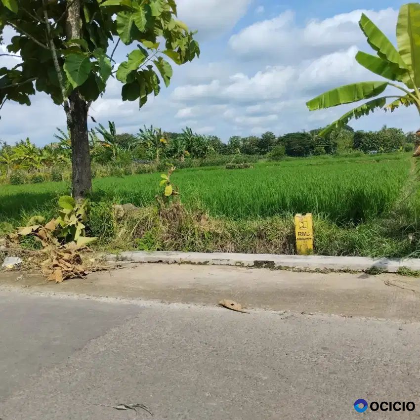 Dijual Tanah SMH Sawah Di Barat Per4an Sayegan