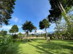 thumbnail-dijual-cepat-villa-di-jlgandamanah-tugu-selatan-kec-cisarua-kab-bogor-2