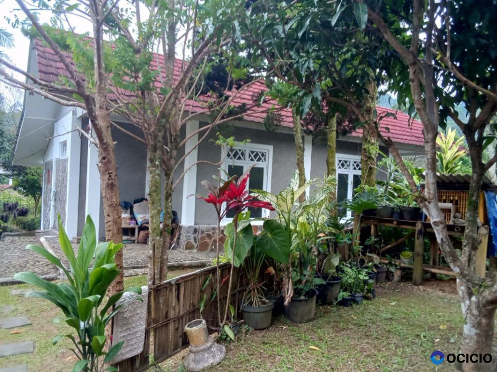 Dijual Rumah Asri Lengkap dengan Kebun Luas – Cocok untuk Hunian & Usaha!