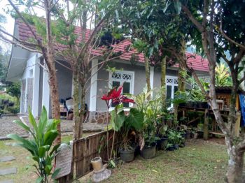 Dijual Rumah Asri Lengkap dengan Kebun Luas – Cocok untuk Hunian & Usaha!