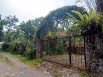 thumbnail-dijual-rumah-asri-lengkap-dengan-kebun-luas-cocok-untuk-hunian-usaha-2