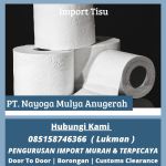thumbnail-jasa-import-tisu-dari-india-ke-indonesia-all-in-0