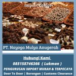 thumbnail-jasa-import-coklat-dari-india-ke-indonesia-all-in-nyg-logistics-0