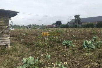 Dijual Tanah Kosong di Daerah Karo Jalan Barusjahe, Barusjulu
