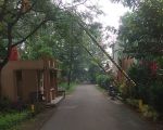 thumbnail-tanah-kavling-dprd-dekat-tolstasiunrs-1