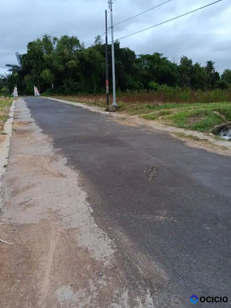 Dijual Tanah Sawah Cocok Bwt Pertanian Di Margodadi Sayegan