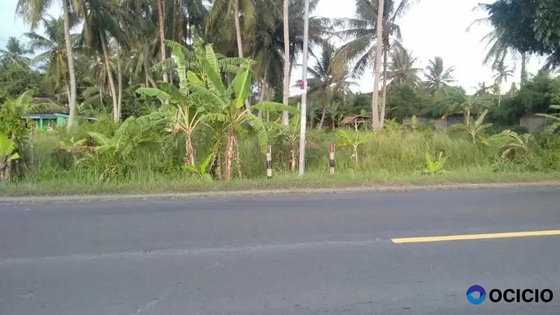 tanah 8000 meter di jalan lintas sumatera kalianda