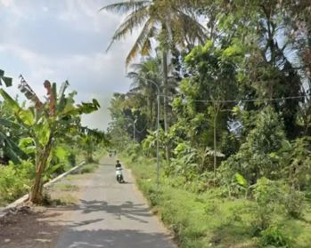 Dijual Tanah SHM Sawah Murah Meriah Di Cibuk Tirto Adi Mlati Sleman
