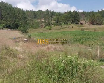 Jual Tanah Kosong di Desa Marlumba, Kec. Simanindo, Kab. Samosir