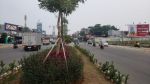 thumbnail-dijual-kavling-komersial-latinos-di-jln-raya-rawa-buntu-bsd-city-2