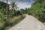 thumbnail-dijual-tanah-di-jl-suda-malik-batu-jajar-cigudeg-bogor-1