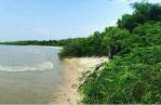 thumbnail-dijual-tanah-di-sawah-luhur-kasemen-kota-serang-banten-2