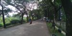 thumbnail-dijual-tanah-di-jl-pinang-kunciran-alam-sutera-tangerang-2