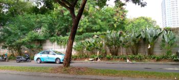 Dijual Kavling Komersial di Jln. Bayangkara Pusdiklantas, Pakulonan, Serpong