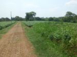 thumbnail-dijual-kavling-di-parung-hijau-1-kec-kemang-bogor-6