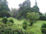 thumbnail-dijual-kavling-di-jl-raya-puncak-gadog-ciloto-cipanas-cianjur-puncak-1
