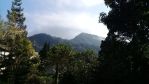 thumbnail-dijual-kavling-di-jl-raya-puncak-gadog-ciloto-cipanas-cianjur-puncak-13