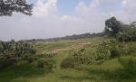 thumbnail-dijual-tanah-di-jl-raya-dago-kebasiran-kec-parung-panjang-kab-bogor-1