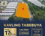 thumbnail-dijual-kavling-komersial-tabebuya-di-jln-bsd-raya-pusat-bsd-city-5