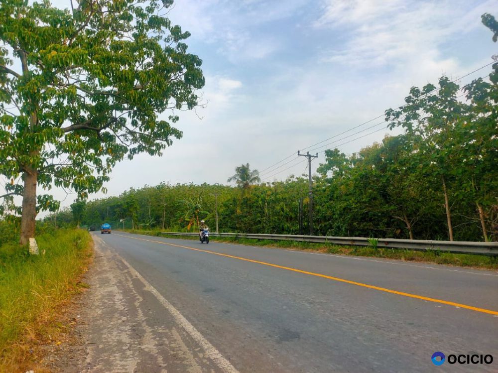 Dijual Tanah di Jl. Lintas Sumatera, Sukabanjar, Sidomulyo, Talang Baru, Lampung