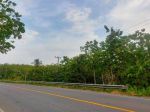 thumbnail-dijual-tanah-di-jl-lintas-sumatera-sukabanjar-sidomulyo-talang-baru-lampung-2