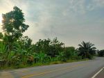 thumbnail-dijual-tanah-di-jl-lintas-sumatera-sukabanjar-sidomulyo-talang-baru-lampung-3