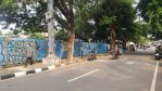 thumbnail-dijual-tanah-di-jlcisadane-kelcikini-menteng-jakarta-pusat-2
