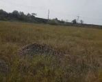 thumbnail-dijual-tanah-di-jln-raya-cikande-kawasan-industri-cba-rangkasbitung-serang-3