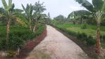 thumbnail-jual-tanah-shm-batang-kuis-dekat-bandara-kuala-namu-5