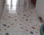thumbnail-rumah-kosan-10-pintu-di-jakarta-timur-9