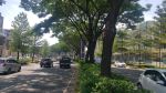 thumbnail-dijual-ruko-cascade-studio-loft-bsd-city-tangerang-5