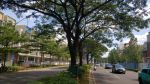 thumbnail-disewakan-ruko-cascade-studio-loft-bsd-city-3