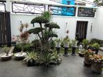 thumbnail-dijual-rumah-di-jln-siantan-raya-cengkareng-jakarta-barat-5