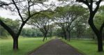 thumbnail-dijual-rumah-di-sutera-narada-1-nykka-alam-sutera-tangerang-2
