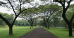 thumbnail-dijual-rumah-di-sutera-narada-ii-nykka-alam-sutera-tangerang-3