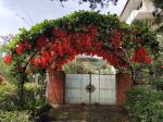 thumbnail-dijual-villa-di-jalan-ciloto-cipanas-cianjur-puncak-jawa-barat-5