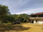 thumbnail-dijual-kebun-sawit-desa-bukit-mas-kec-besitang-langkat-0