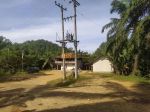 thumbnail-dijual-kebun-sawit-desa-bukit-mas-kec-besitang-langkat-2