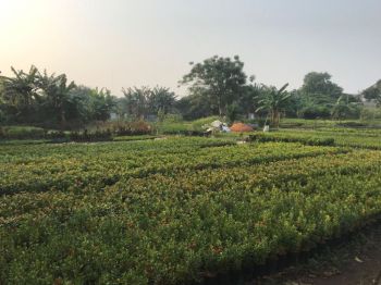 Jual Cepat Tanah Lokasi Strategis Karang Tengah, Tangerang.