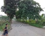 thumbnail-rumah-baru-mepet-bsd-tangerang-12