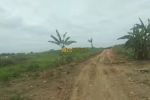 thumbnail-dijual-tanah-kosong-pasar-x-jalan-glugur-rimbun-6