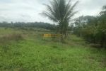 thumbnail-dijual-tanah-kosong-pasar-x-jalan-glugur-rimbun-2