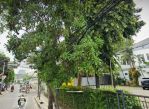 thumbnail-dijual-cepat-di-bawah-njop-building-di-jl-pengadegan-timur-raya-pancoran-2