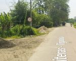thumbnail-dijual-tanah-di-raya-citeras-maja-serang-banten-0